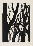 KG 2000 159
<br/>
Doos "Andere grafiek-2"
<br/>
<em>Bogaerts, Annemarie (1947)</em>